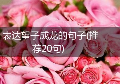 表达望子成龙的句子(推荐20句)