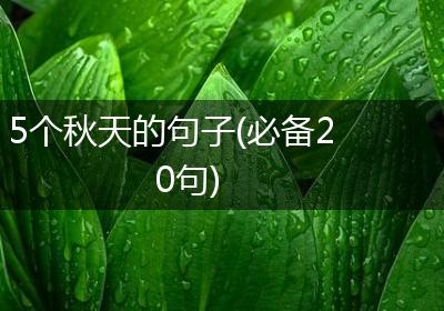 5个秋天的句子(必备20句)
