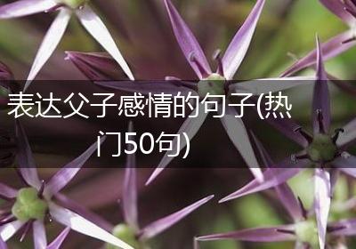 表达父子感情的句子(热门50句)