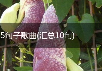 5句子歌曲(汇总10句)