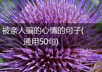 被亲人骗的心情的句子(通用50句)