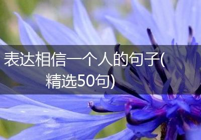 表达相信一个人的句子(精选50句)