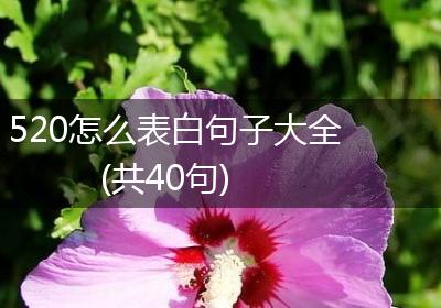 520怎么表白句子大全(共40句)