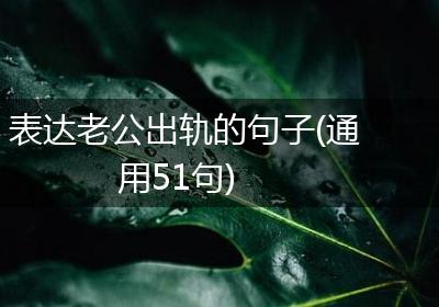 表达老公出轨的句子(通用51句)
