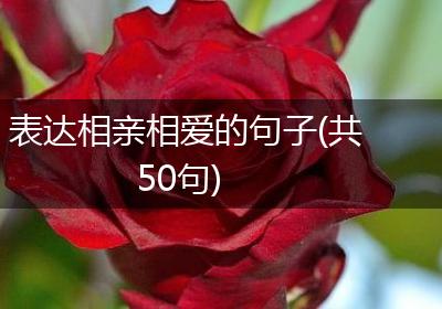 表达相亲相爱的句子(共50句)