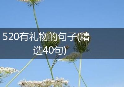 520有礼物的句子(精选40句)