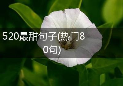 520最甜句子(热门80句)