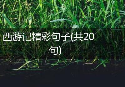 西游记精彩句子(共20句)