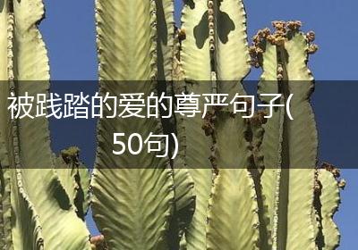 被践踏的爱的尊严句子(50句)