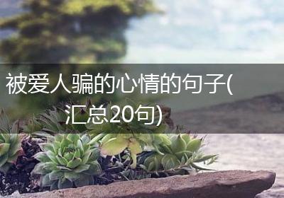 被爱人骗的心情的句子(汇总20句)