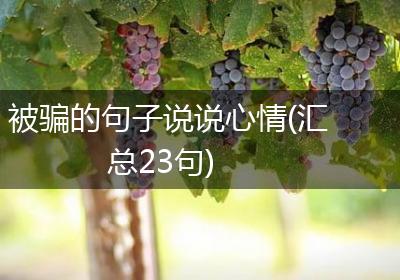 被骗的句子说说心情(汇总23句)
