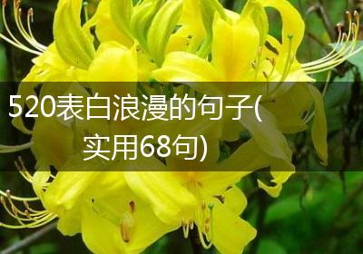 520表白浪漫的句子(实用68句)