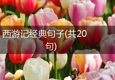 西游记经典句子(共20句)