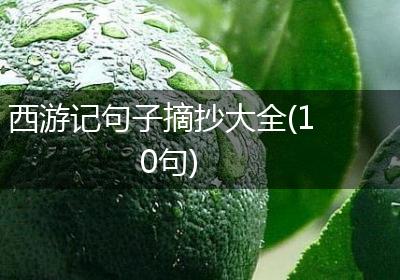 西游记句子摘抄大全(10句)