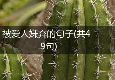 被爱人嫌弃的句子(共49句)