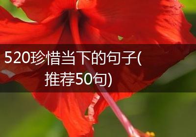 520珍惜当下的句子(推荐50句)