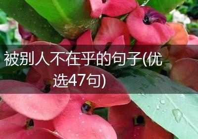 被别人不在乎的句子(优选47句)