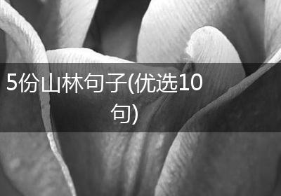 5份山林句子(优选10句)