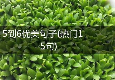 5到6优美句子(热门15句)