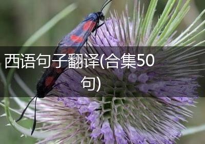 西语句子翻译(合集50句)