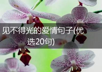 见不得光的爱情句子(优选20句)