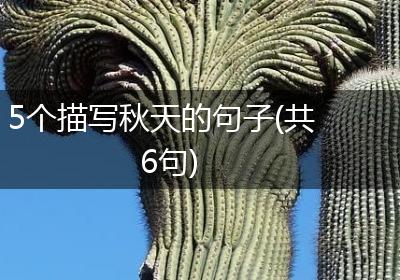 5个描写秋天的句子(共6句)