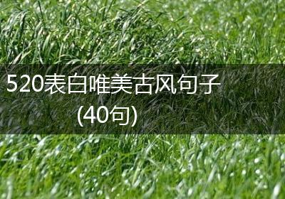 520表白唯美古风句子(40句)