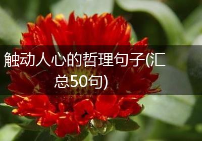 触动人心的哲理句子(汇总50句)
