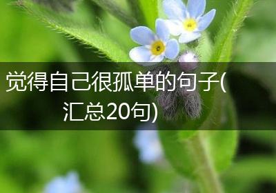 觉得自己很孤单的句子(汇总20句)