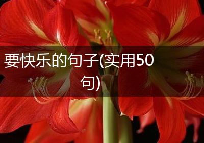 要快乐的句子(实用50句)