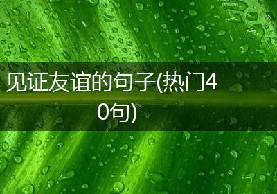 见证友谊的句子(热门40句)