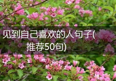 见到自己喜欢的人句子(推荐50句)