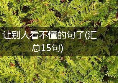 让别人看不懂的句子(汇总15句)