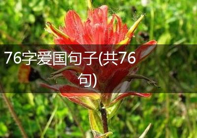 76字爱国句子(共76句)
