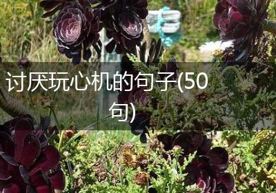 讨厌玩心机的句子(50句)