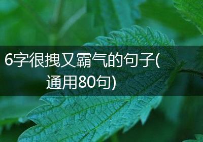6字很拽又霸气的句子(通用80句)