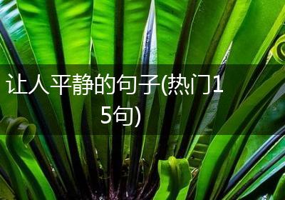 让人平静的句子(热门15句)