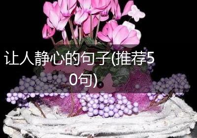 让人静心的句子(推荐50句)