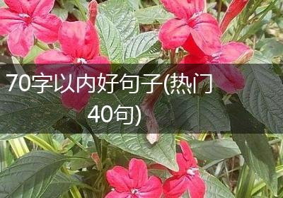 70字以内好句子(热门40句)