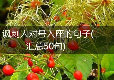讽刺人对号入座的句子(汇总50句)