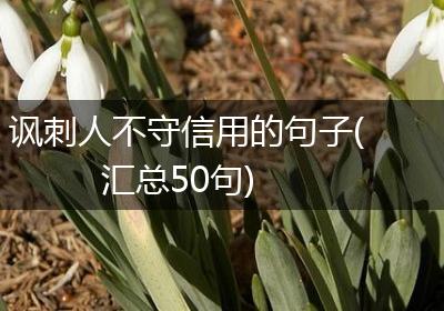讽刺人不守信用的句子(汇总50句)