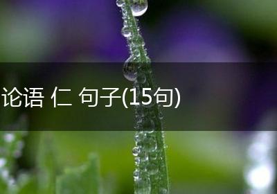 论语 仁 句子(15句)