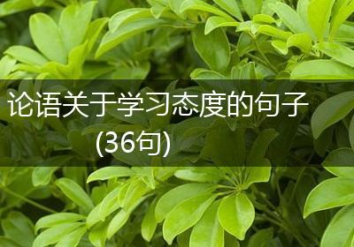 论语关于学习态度的句子(36句)
