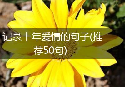 记录十年爱情的句子(推荐50句)
