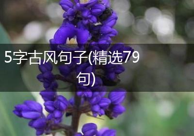 5字古风句子(精选79句)