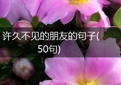 许久不见的朋友的句子(50句)