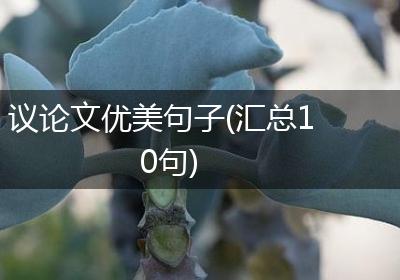议论文优美句子(汇总10句)
