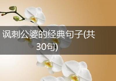 讽刺公婆的经典句子(共30句)