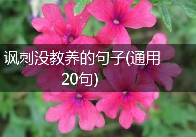讽刺没教养的句子(通用20句)