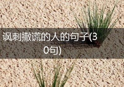讽刺撒谎的人的句子(30句)